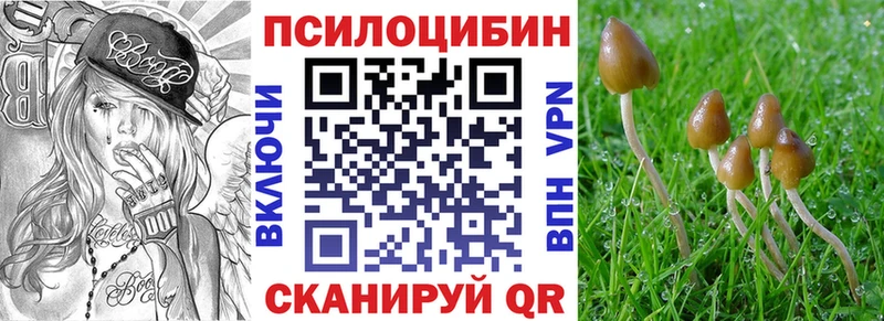 Псилоцибиновые грибы GOLDEN TEACHER  Брюховецкая 